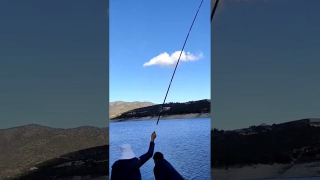 рыбаки из Китая. китайские удочки. китайская прикормка #fishing #рыбалка