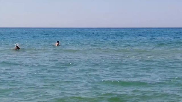 Дельфины среди людей. Благовещенская. 31.07.2020 смотреть онлайн