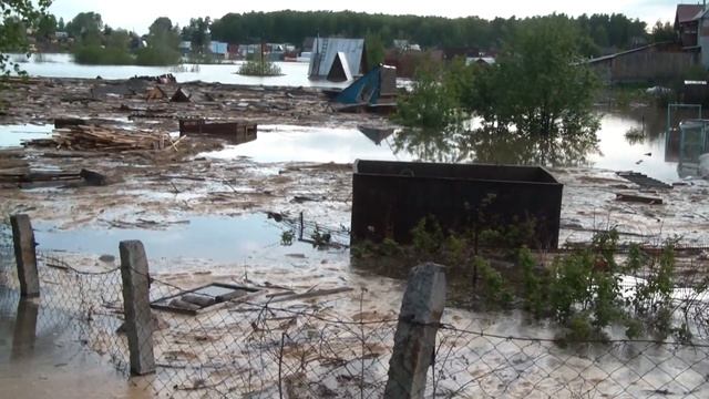 Кислуха дача 5 смотреть онлайн
