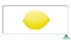 Oxford Phonics 1 Letter L