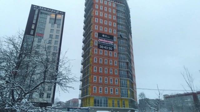Требуем площадки для выгула собак смотреть онлайн