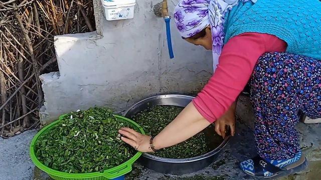Tavuklu 🍗Pilav 🍚 Yaptık Pancar ✳️ Kavurması Dolu Dolu Bir Gün ❤️ смотреть онлайн