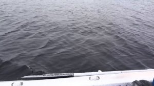 Обкатка Tohatsu MFS 9.9 E Sport/15E/20E (EFI)