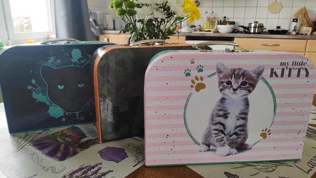Школа Чехия, Колин, часть 2. Школьный чемоданчик для творчества. смотреть онлайн