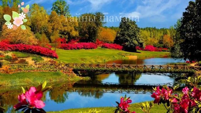 Заговор чтобы было много клиентов смотреть онлайн