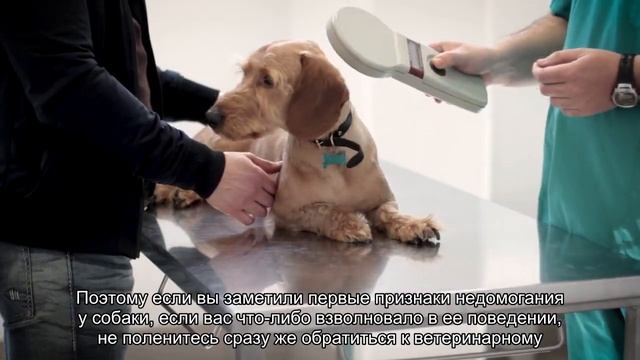 Мастерство и Индивидуальность