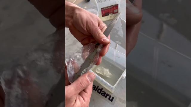 Полиморфус в действии! смотреть онлайн