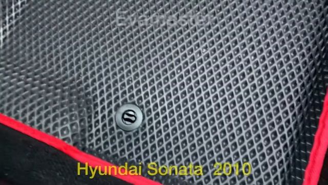 Hyundai sonata 2010г. Ева коврики 3D смотреть онлайн