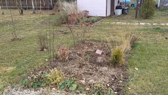 Малина. Самая удачная живая изгородь. Полный багажник камня смотреть онлайн
