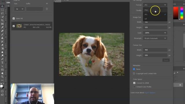 Photoshop Tutorial 12: Saving your Photoshop file image into a jpeg смотреть онлайн