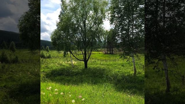 КАРМА ЛЮБВИ "Мой муж постоянно смотрит на проходящих девушек..." Майкл Роуч. ВОПРОС №8 смотреть онлайн