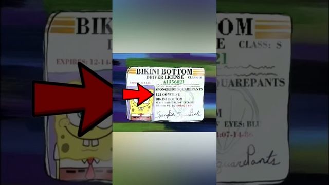 Жуткая тайна Спанч-Боба ?? смотреть онлайн