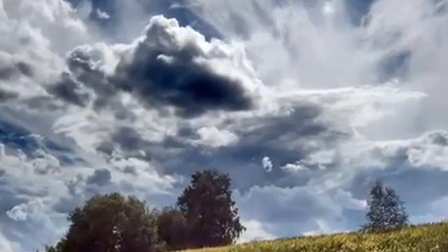 М. Цветаева. Август. смотреть онлайн