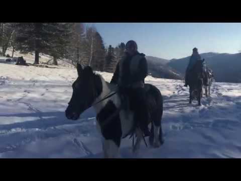 Новый Год 2018 в турприюте "Аркадия" смотреть онлайн