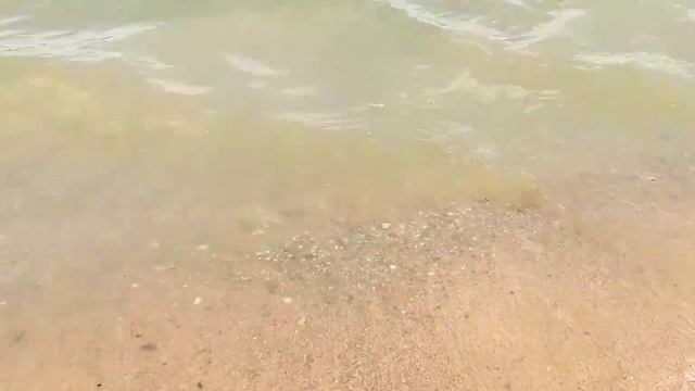 Пляж на реке Пекша в Кольчугино 2022 / Кольчугинское водохранилище смотреть онлайн