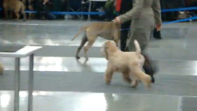 Сравнение-3 смотреть онлайн