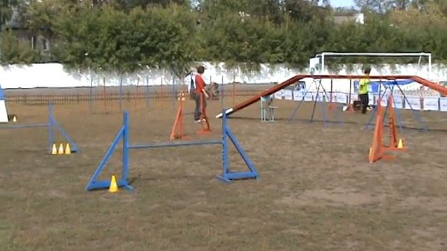 вельштерьер Фигаро, адж. ЧР РЛК в Перми смотреть онлайн