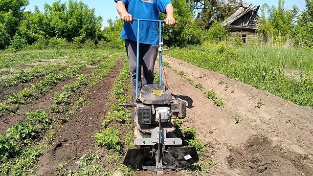 Первая попытка окучивания / ЛопЛош / Мотокультиватор смотреть онлайн