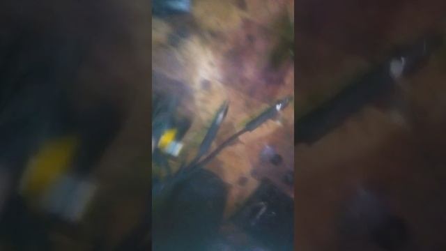 Двигатель ваз 2109 на классику ваз 2106 #1 смотреть онлайн
