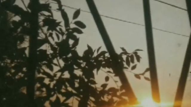 СТИХОТВОРЕНИЯ, КОТОРЫЕ ТЕБЕ ПОМОГУТ | читаю красивые строки | смотреть онлайн