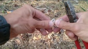 Как правильно одевать строгий ошейник на собаку??? И как уменьшить или увеличить строгий ошейник???