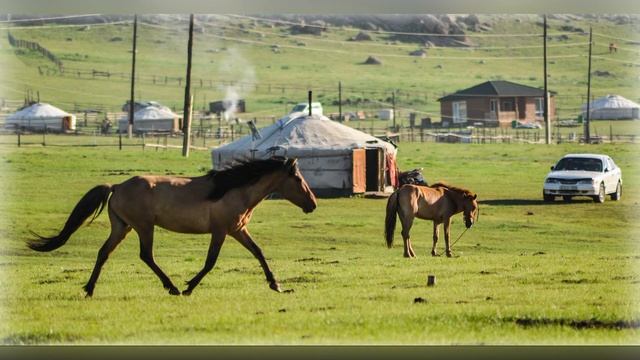✨ Монгольская музыка ✨ Монгольские песни ✨ Горловое пение ✨ смотреть онлайн