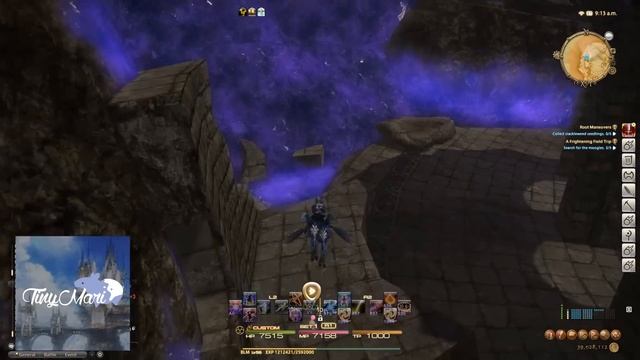 FFXIV Heavensward - A Frightening Field Trip [Walkthrough] смотреть онлайн