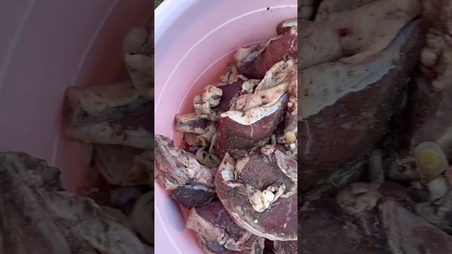 СЕГОДНЯ ГОТОВИМ ? СТЕЙКИ НА ПРИРОДЕ В КРУГУ РОДНЫХ ? смотреть онлайн