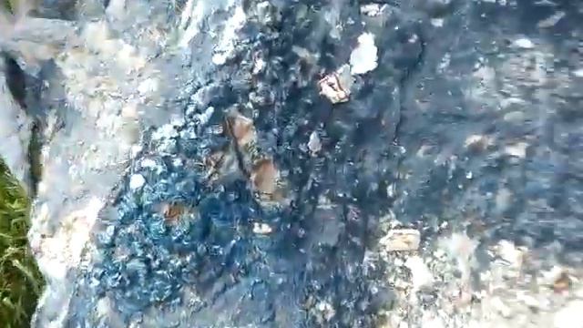 Я в Белоруссии. Пошёл на корабль чтобы сделать несколько кадров смотреть онлайн