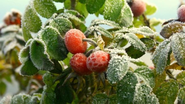 Взаимодействие сознаний тонких тел человека с физическим.