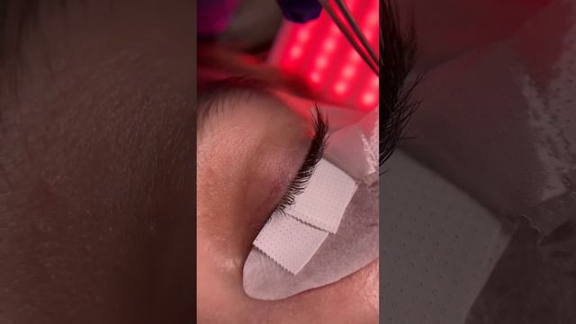 Наращивание ресниц. Больше моих работ в Inst или вк: Nature.brows