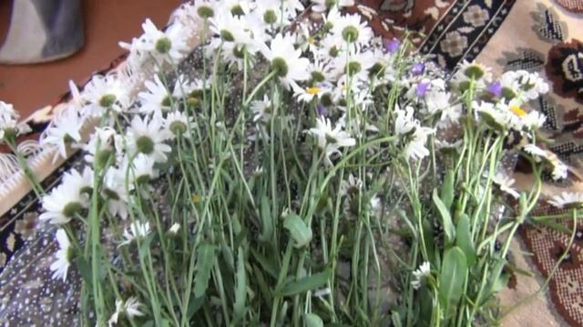 Необычный букетик. смотреть онлайн