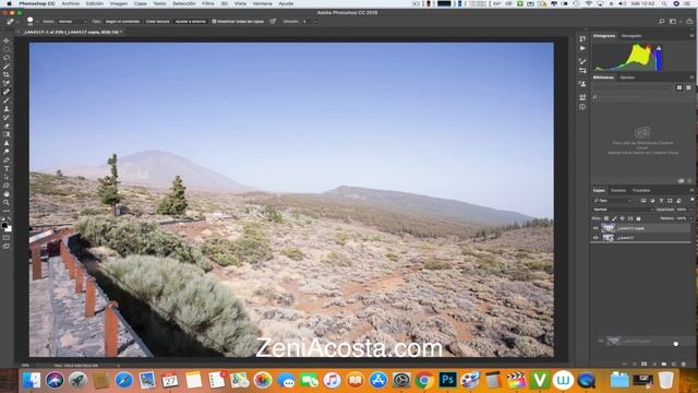SOLUCIÓN FILTROS NIK COLLETION MAC HIGH SIERRA смотреть онлайн