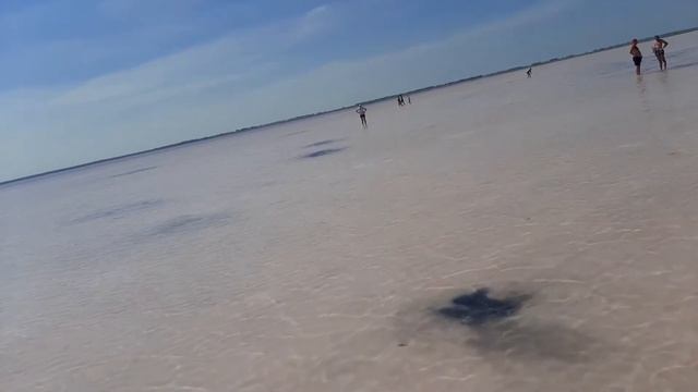 Розовое озеро поселок Бурсоль Алтайский край.