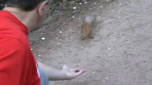 Единение с природой