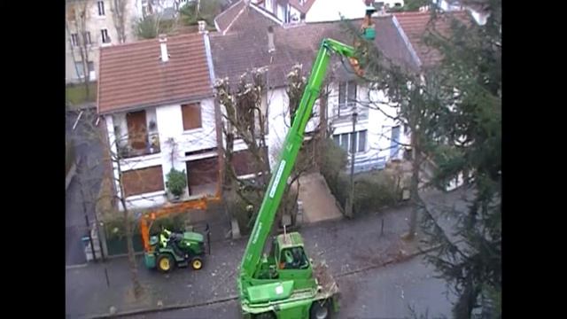 Стрижка деревьев 01.2014 смотреть онлайн