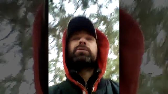 Здоров Богат Дуб Стоит Орехи Звенят ?? масло Ореха для здоровья человека ? сыродавленные масла смотреть онлайн