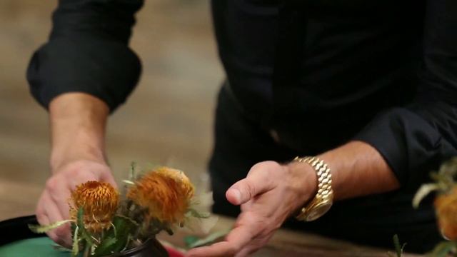 Protea Arrangement смотреть онлайн