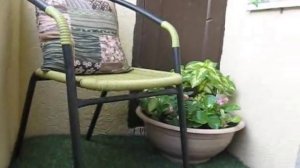 Озеленение балкона, цветы на балконе