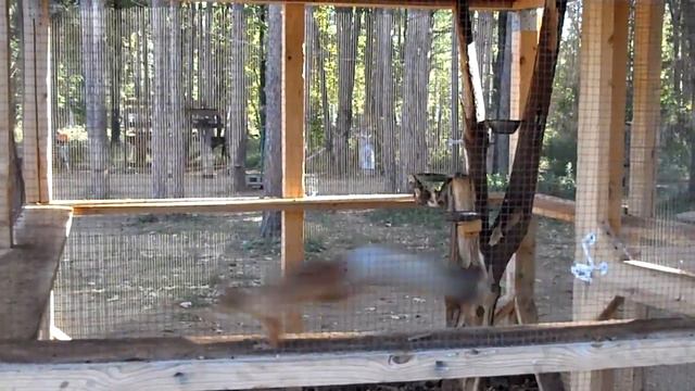 Бег 19 км Парк 40 лет Заря смотреть онлайн