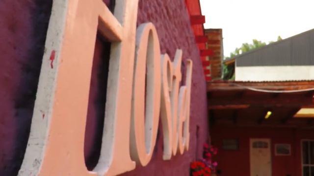 SPOT JOY HOSTEL смотреть онлайн