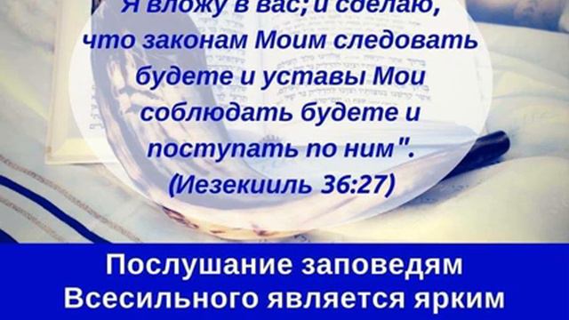 31) Ин 1. Творец Словом сотворил мир. Суть благодати. Агнец за грех. Сын Иосифа. РаДбИ. смотреть онлайн