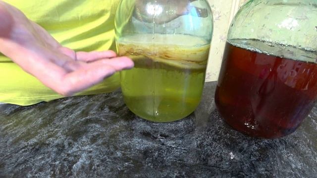 Чайный гриб опустился на дно. Что делать? смотреть онлайн