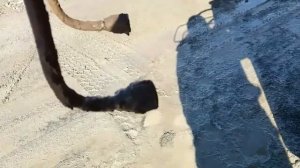 Как заменить шланги выдвижных опор автокрана легко и просто