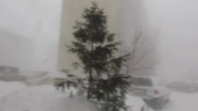 Буран в Бердске смотреть онлайн