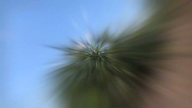 На рыбалке. Липецкая Область. Дрязги. #GoProHERO7BLACK #IPhoneX