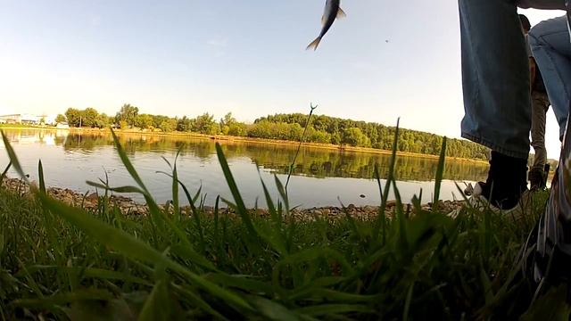 Джамгаровский пруд 08.08.2013 до перемен. смотреть онлайн