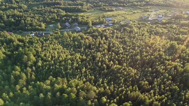 д. Володарская, лето, Онежское озеро, 8 июля 2022 г. | Подпорожский район, Ленинградская область. смотреть онлайн