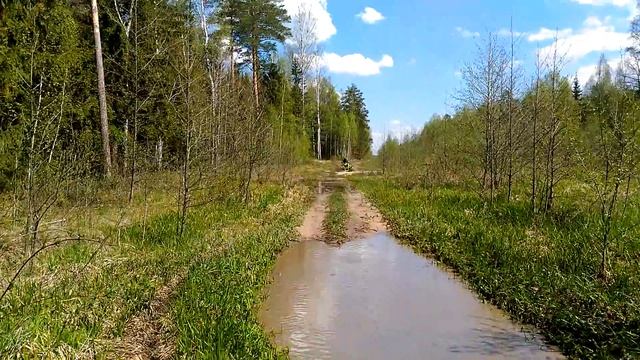 Stels Guepard 800 with BRP 650 смотреть онлайн