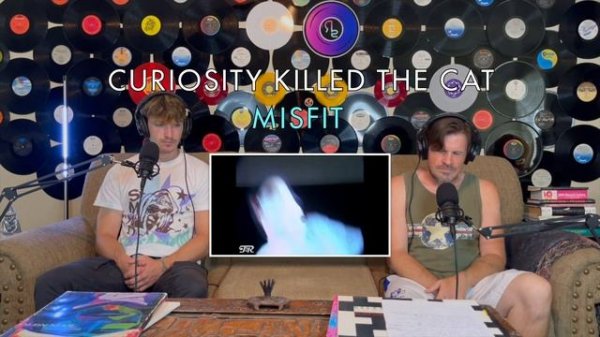 Ty Reacts To Curiosity Killed the Cat - Misfit